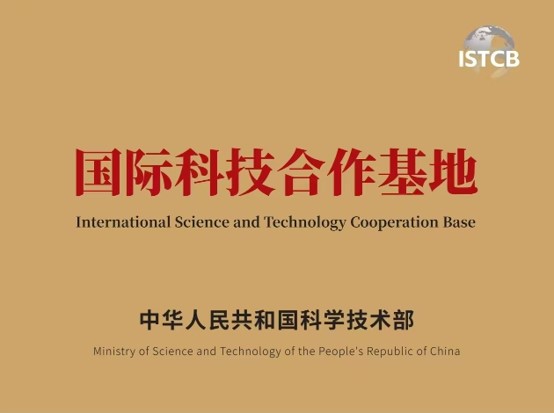 图片11.jpg